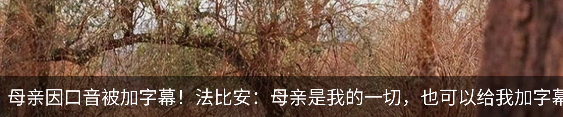 资讯中心